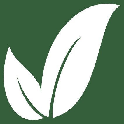 500 Foods Leaf Logo